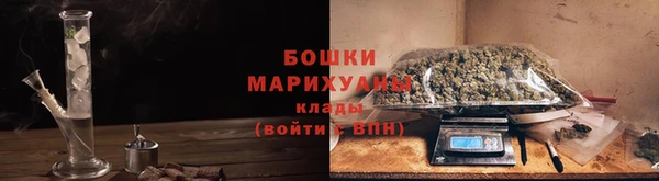 PSILOCYBIN Киреевск