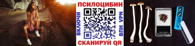 Купить  Конаково  Галлюциногенные грибы Cubensis 